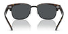 Polo PH4202 Sunglasses | Size 55 / Shiny Dark Havana / Grey (3N 9.3%) №500387