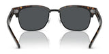 Polo PH4202 Sunglasses | Size 55