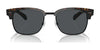 Polo PH4202 Sunglasses | Size 55 / Shiny Dark Havana / Grey (3N 9.3%) №500387
