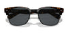 Polo PH4202 Sunglasses | Size 55 / Shiny Dark Havana / Grey (3N 9.3%) №500387