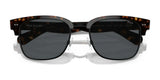 Polo PH4202 Sunglasses | Size 55