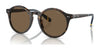 Polo PH4204U Sunglasses / Shiny Dark Havana / Brown (3N 13.3%) №500373 / Size 50