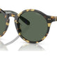 Shiny Tortoise Brown
