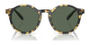 Polo PH4204U Sunglasses / Shiny Black / Dark Grey (3N 12.4%) №538587 / Size 50