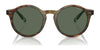 Polo PH4204U Sunglasses / Shiny Black / Dark Grey (3N 12.4%) №538587 / Size 50