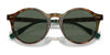 Polo PH4204U Sunglasses / Shiny Black / Dark Grey (3N 12.4%) №538587 / Size 50