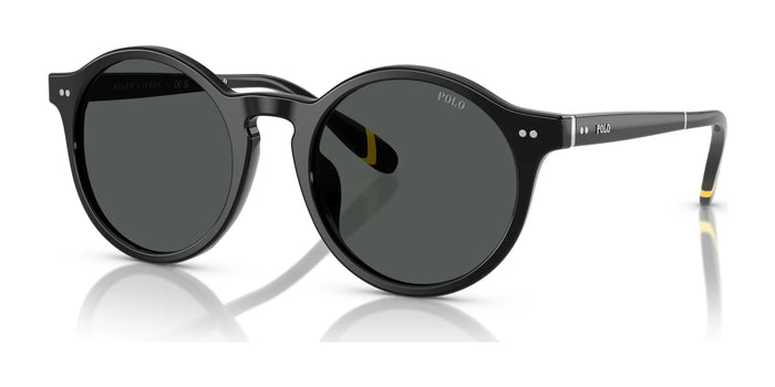 Polo PH4204U Sunglasses / Shiny Black / Dark Grey (3N 12.4%) №538587 / Size 50