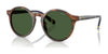 Polo PH4204U Sunglasses / Shiny Brown Tortoise / Bottle Green (3N 9.7%) №562571 / Size 50