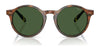 Polo PH4204U Sunglasses / Shiny Black / Dark Grey (3N 12.4%) №538587 / Size 50