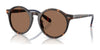 Polo PH4204U Sunglasses / Shiny Dark Havana / Dark Brown (3N 13.3%) №567373 / Size 53