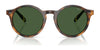 Polo PH4204U Sunglasses / Shiny Black / Dark Grey (3N 12.4%) №538587 / Size 50