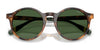 Polo PH4204U Sunglasses / Shiny Black / Dark Grey (3N 12.4%) №538587 / Size 50