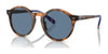 Polo PH4204U Sunglasses / Shiny Red Havana / Blue (3N 14.9%) №608980 / Size 50
