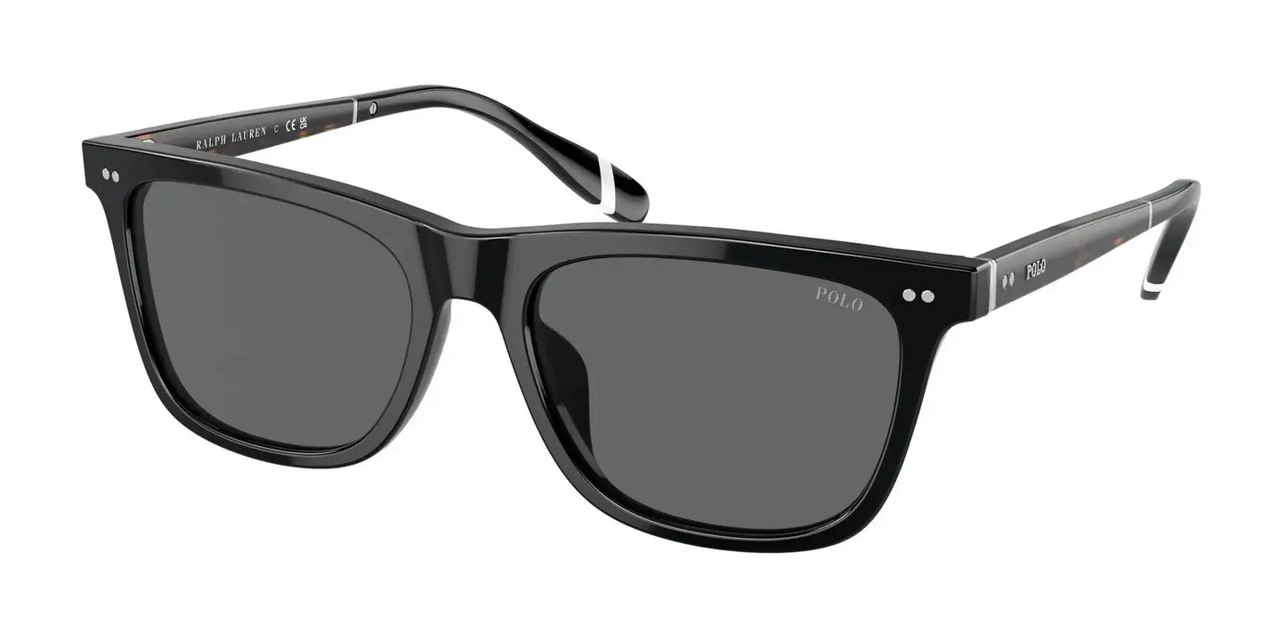 Polo PH4205U Sunglasses Shiny Black / Dark Grey