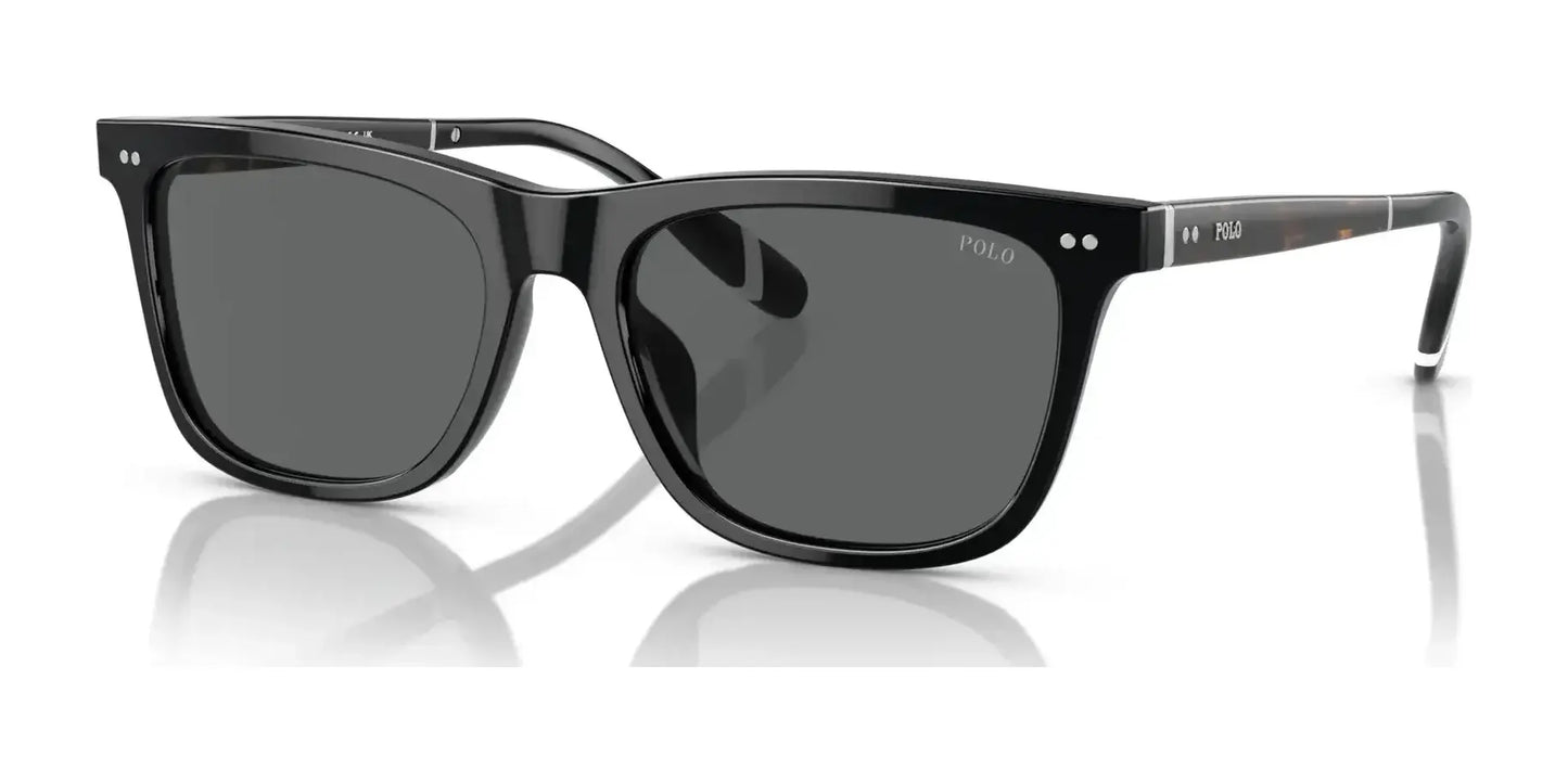 Polo PH4205U Sunglasses Shiny Black / Dark Grey