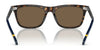 Polo PH4205U Sunglasses | Size 56 / Shiny Red Havana / Dark Green (3N 9.7%) №608971