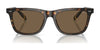 Polo PH4205U Sunglasses | Size 56 / Shiny Red Havana / Dark Green (3N 9.7%) №608971