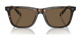 Polo PH4205U Sunglasses | Size 56