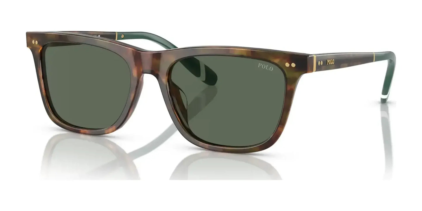 Polo PH4205U Sunglasses Shiny Brown Tortoise / Bottle Green