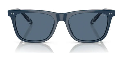 Polo PH4205U Sunglasses | Size 56