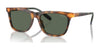Polo PH4205U Sunglasses | Size 56 / Shiny Red Havana / Dark Green (3N 9.7%) №608971
