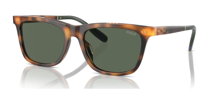 Polo PH4205U Sunglasses | Size 56 / Shiny Red Havana / Dark Green (3N 9.7%) №608971