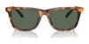 Polo PH4205U Sunglasses | Size 56 / Shiny Red Havana / Dark Green (3N 9.7%) №608971