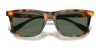 Polo PH4205U Sunglasses | Size 56 / Shiny Red Havana / Dark Green (3N 9.7%) №608971