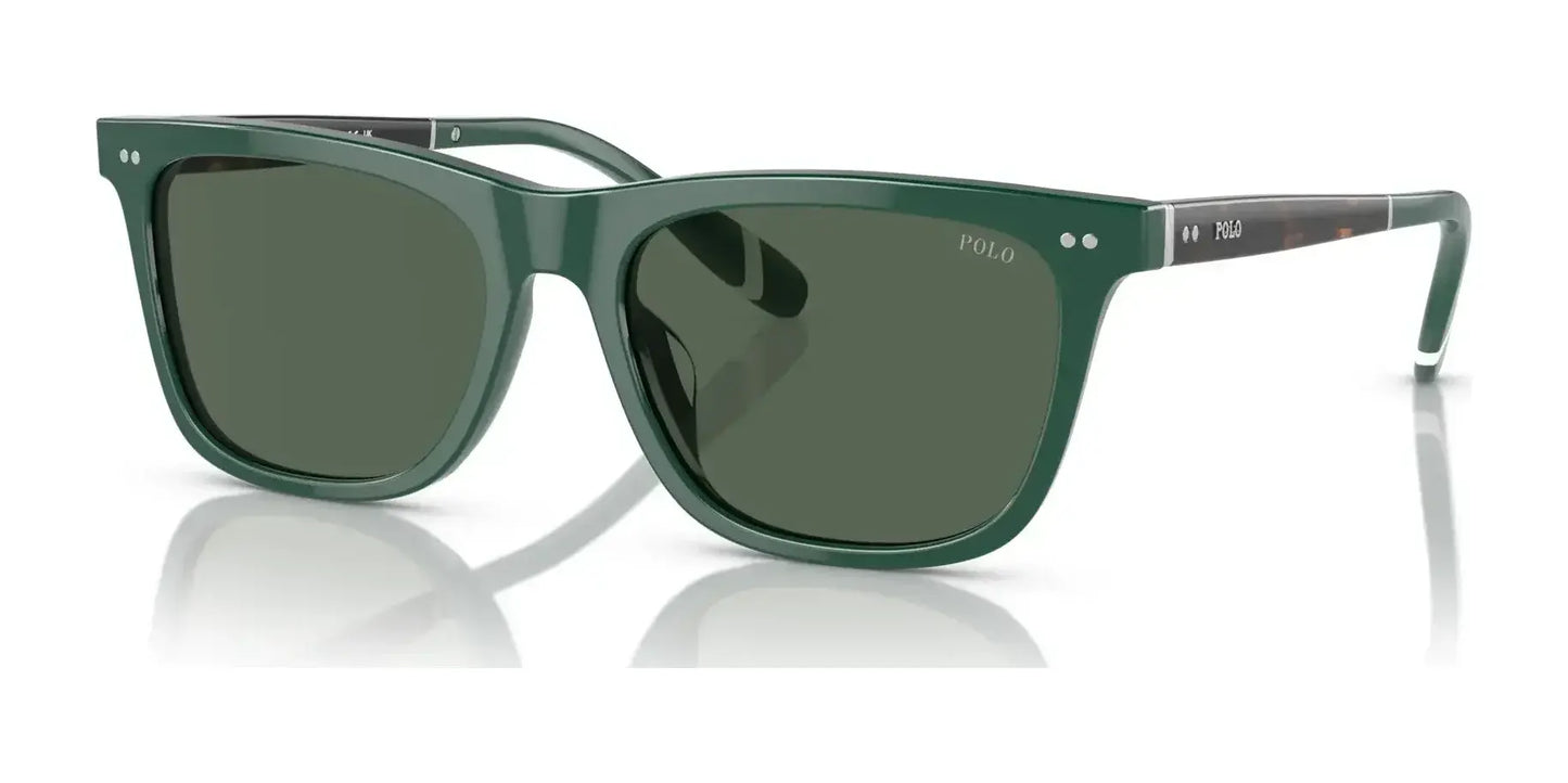 Polo PH4205U Sunglasses Shiny Green / Green