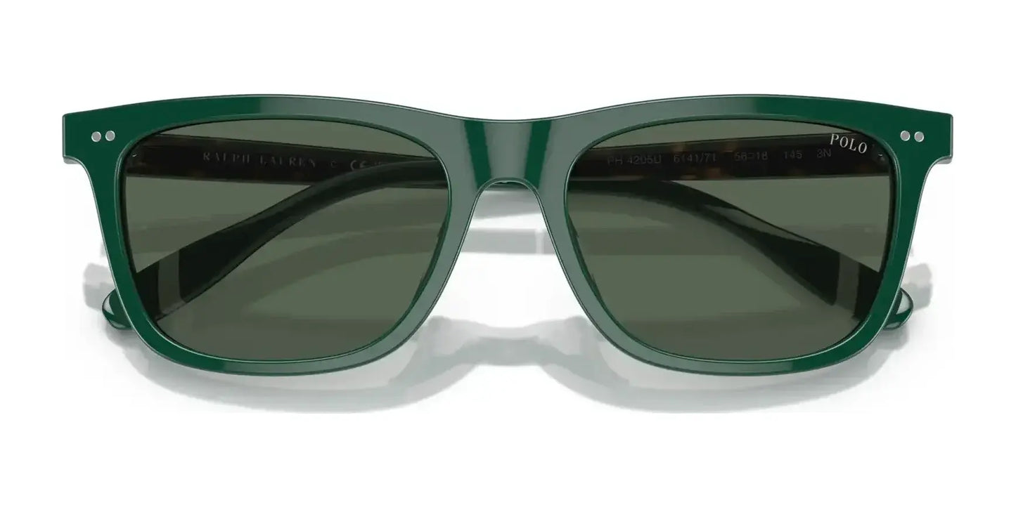 Polo PH4205U Sunglasses | Size 56