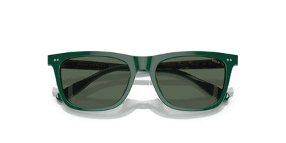 Polo PH4205U Sunglasses | Size 56