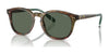 Polo PH4206 Sunglasses | Size 52 / Shiny Brown Tortoise / Bottle Green (3N 9.7%) №501771