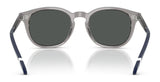 Polo PH4206 Sunglasses | Size 52