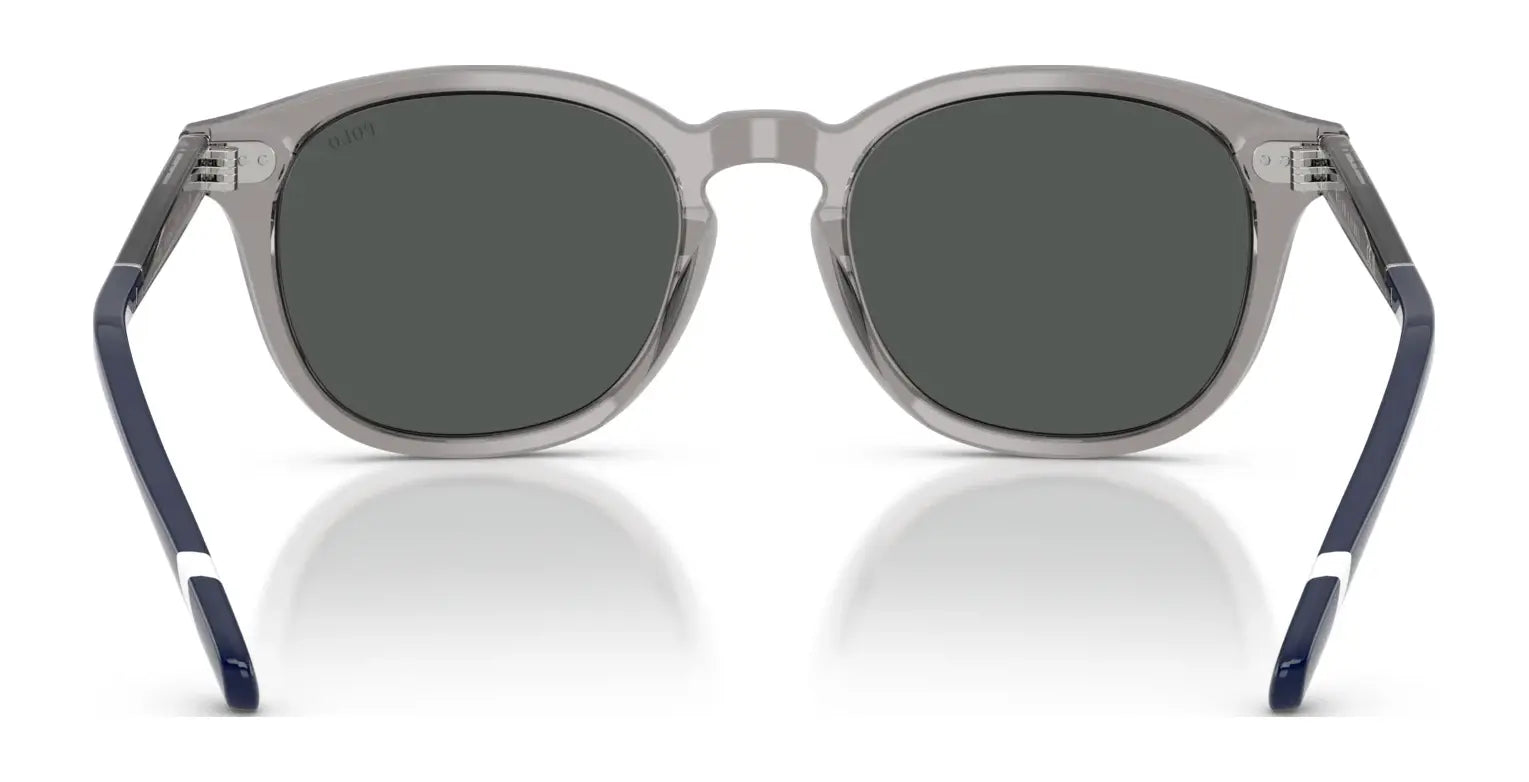 Polo PH4206 Sunglasses | Size 52