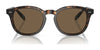 Polo PH4206F Sunglasses | Size 52 / Shiny Black / Dark Grey (3N 12.4%) №500187