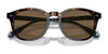 Polo PH4206F Sunglasses | Size 52 / Shiny Black / Dark Grey (3N 12.4%) №500187