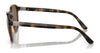 Polo PH4207U Sunglasses | Size 54 / Matte Black / Grey (3N 10.1%) №562487