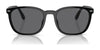Polo PH4208U Sunglasses | Size 55 / Shiny Black / Brown (3N 14.3%) №5001/3