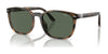 Polo PH4208U Sunglasses | Size 55 / Shiny Havana / Bottle Green (3N 9.7%) №597471