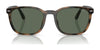 Polo PH4208U Sunglasses | Size 55 / Shiny Black / Brown (3N 14.3%) №5001/3