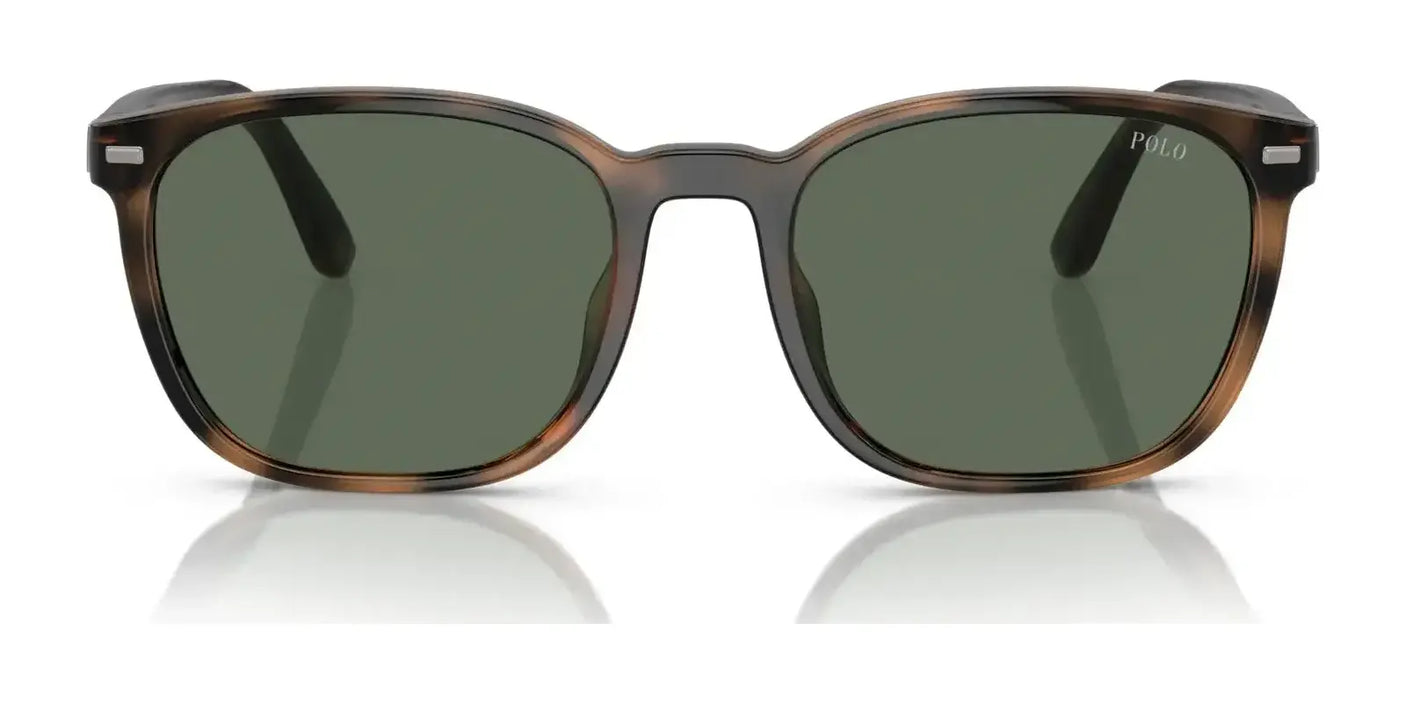 Polo PH4208U Sunglasses | Size 55