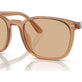 Shiny Transparent Brown