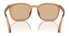 Polo PH4208U Sunglasses | Size 55 / Shiny Black / Brown (3N 14.3%) №5001/3