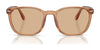 Polo PH4208U Sunglasses | Size 55 / Shiny Black / Brown (3N 14.3%) №5001/3