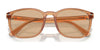 Polo PH4208U Sunglasses | Size 55 / Shiny Black / Brown (3N 14.3%) №5001/3