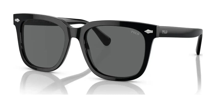 Polo PH4210 Sunglasses | Size 55 / Shiny Black / Grey (3N 12.4%) №500187