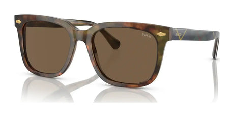 Polo PH4210 Sunglasses Shiny Brown Tortoise / Brown