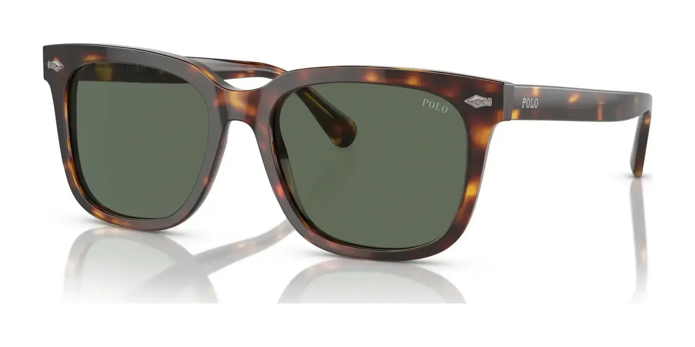 Polo PH4210 Sunglasses | Size 55