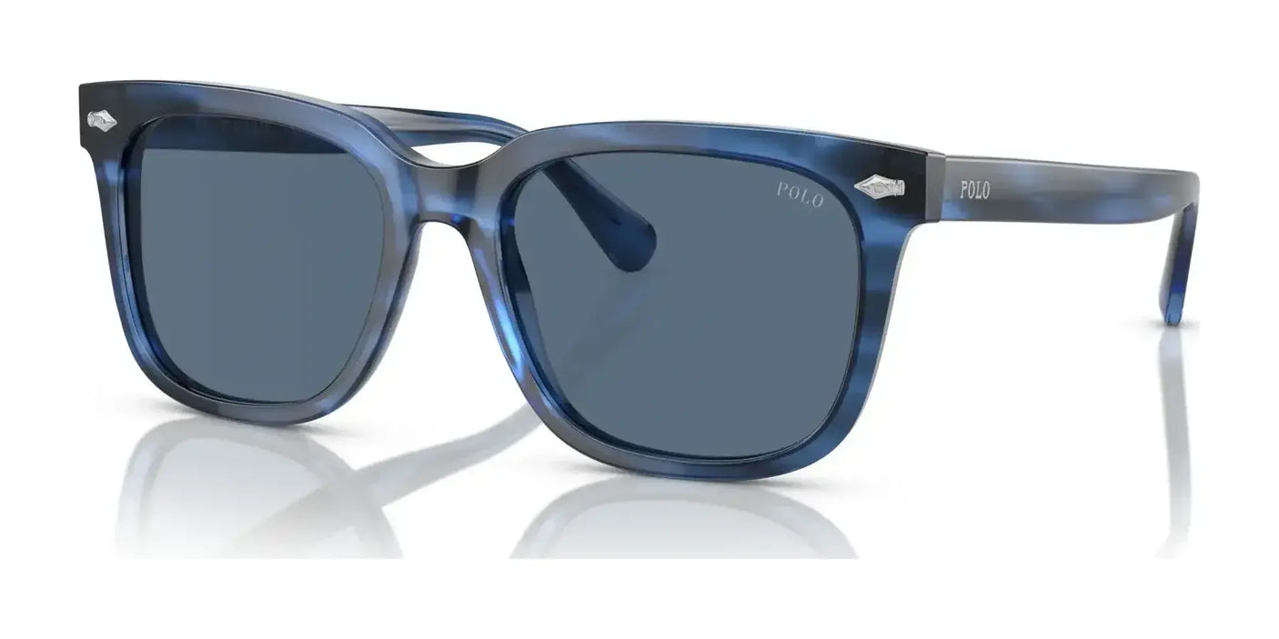 Polo PH4210 Sunglasses Shiny Striped Blue / Blue