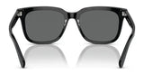 Polo PH4210F Sunglasses | Size 53